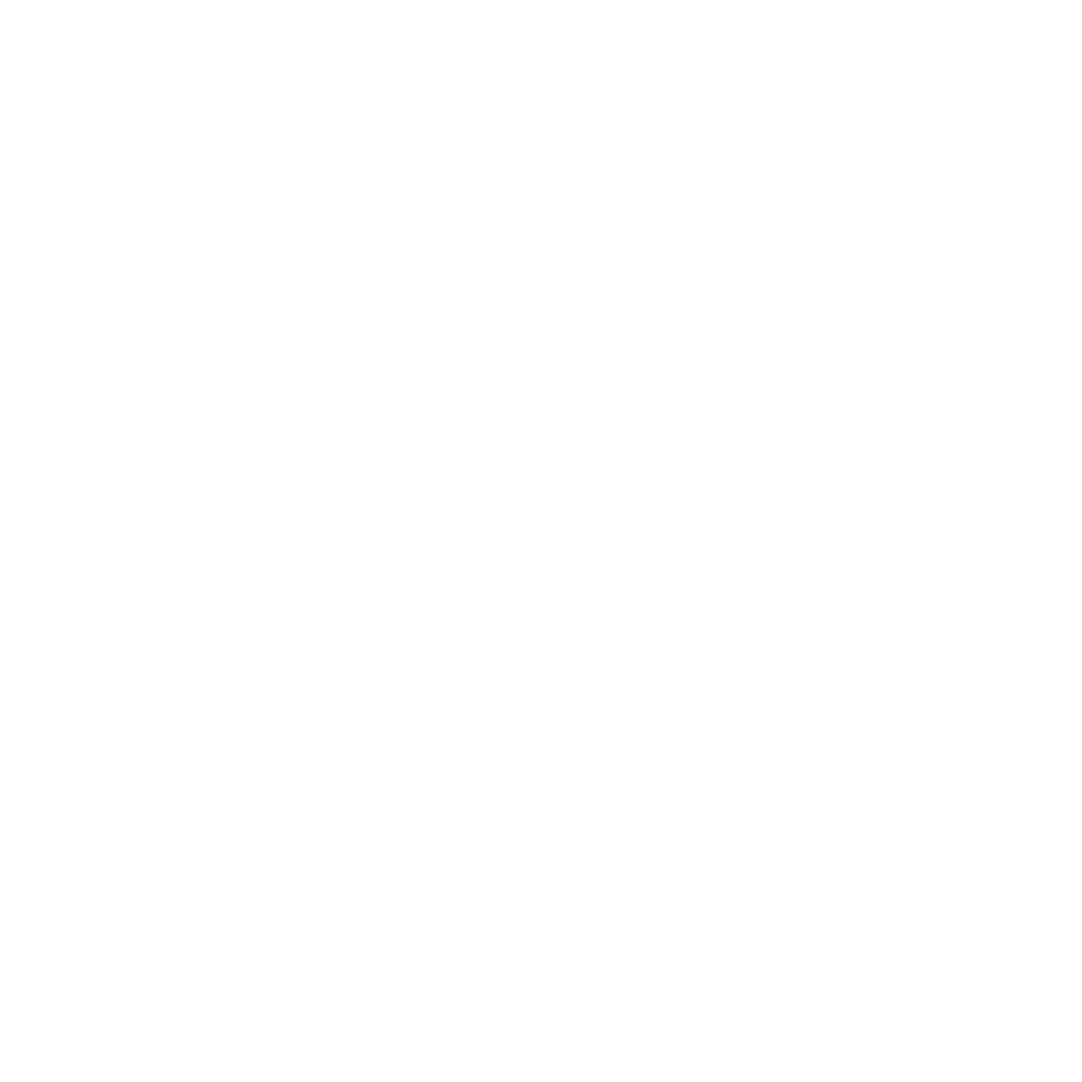 Johnny Software Development
